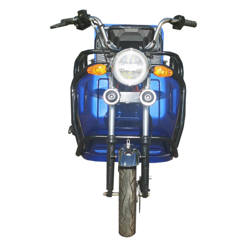 Wholesale Cargo Passenger Trike Electric Tricycle for Elderly Foldable Seat - detail 6
