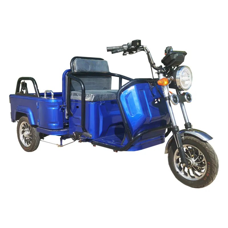 Wholesale Cargo Passenger Trike Electric Tricycle for Elderly Foldable Seat - detail 9