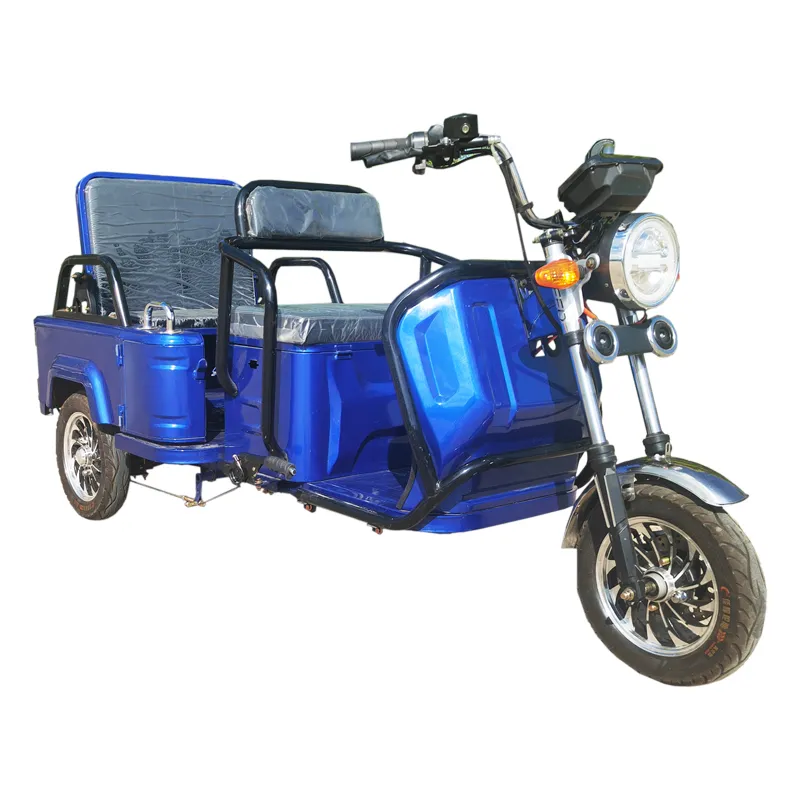 Wholesale Cargo Passenger Trike Electric Tricycle for Elderly Foldable Seat - detail 10
