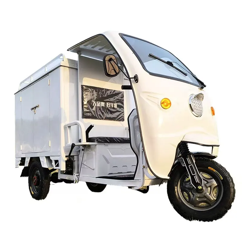 60V Express Cour Electric Tricycles 1000W Integrated Differential Motor 3 Wheels Cabin Cargo Delivery Tricycle with Full Closed Cab Delivery Van Express Courier - detail 1