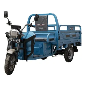 60V Express Cour Electric Tricycles 1000W Integrated Differential Motor 3 Wheels Cabin Cargo Delivery Tricycle with Full Closed Cab Delivery Van Express Courier - detail 12