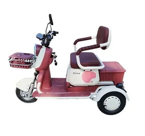 60V Express Cour Electric Tricycles 1000W Integrated Differential Motor 3 Wheels Cabin Cargo Delivery Tricycle with Full Closed Cab Delivery Van Express Courier - detail 14