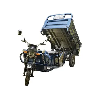 60V Express Cour Electric Tricycles 1000W Integrated Differential Motor 3 Wheels Cabin Cargo Delivery Tricycle with Full Closed Cab Delivery Van Express Courier - detail 15