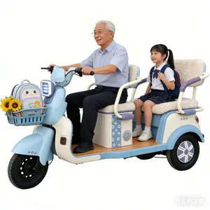 Sleek Electric Tricycle with Cargo Capacity for Busy Lifestyles - detail 15