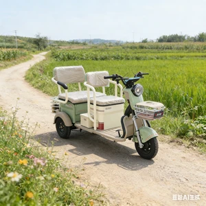 Sleek Electric Tricycle with Cargo Capacity for Busy Lifestyles - detail 20