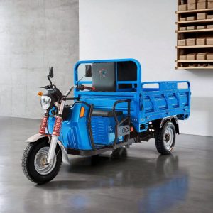 3-Wheel Electric Motorcycle Tricycle with 3 Wheeler Cargo Delivery & Farm Use
