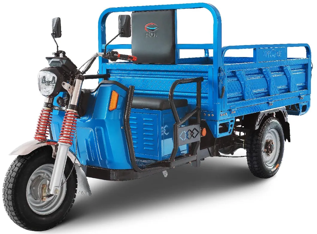 3-Wheel Electric Motorcycle Tricycle with 3 Wheeler Cargo Delivery & Farm Use - detail 1