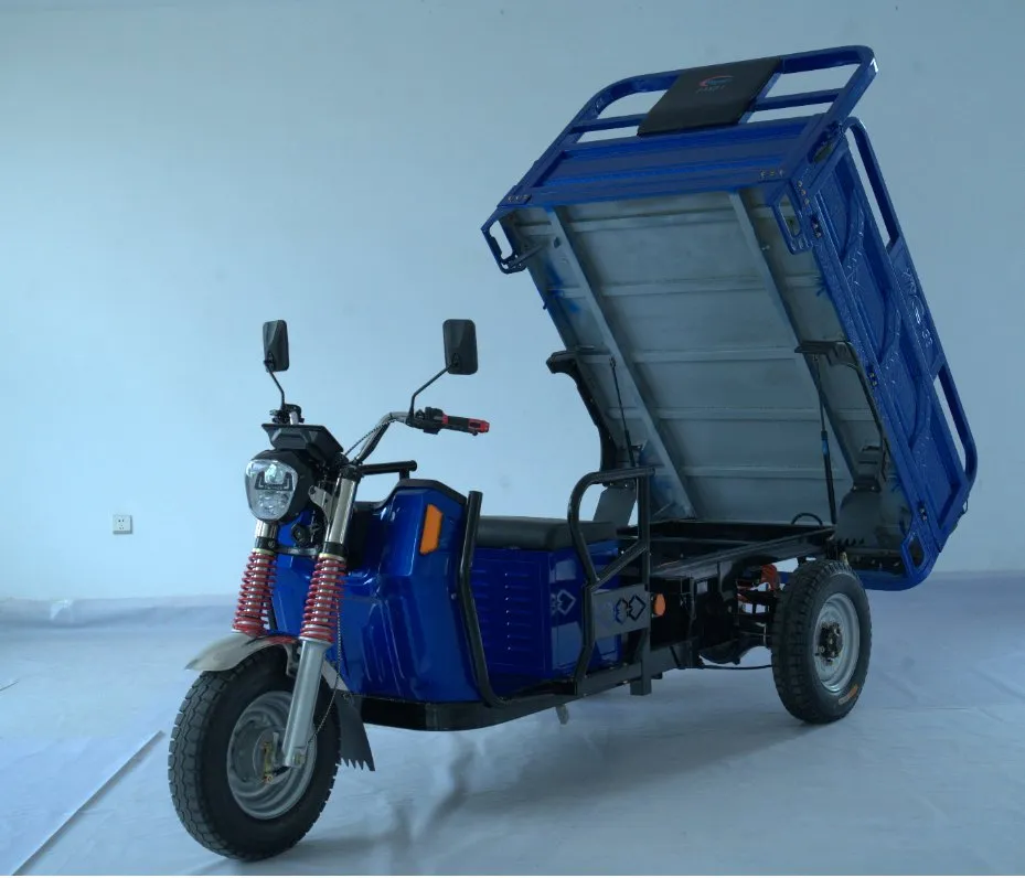 3-Wheel Electric Motorcycle Tricycle with 3 Wheeler Cargo Delivery & Farm Use - detail 2