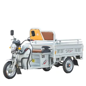 3-Wheel Electric Motorcycle Tricycle with 3 Wheeler Cargo Delivery & Farm Use - detail 12