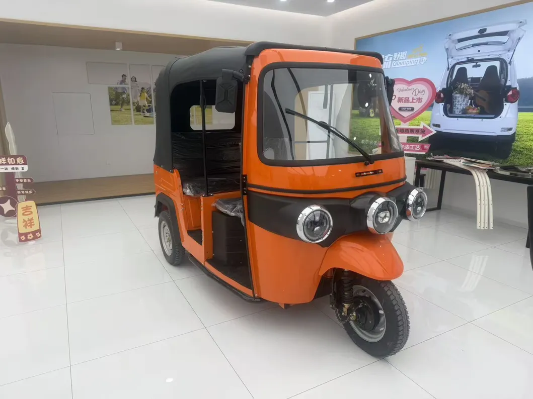 Electric Tricycle for Passenger and Cargo Transport - detail 1