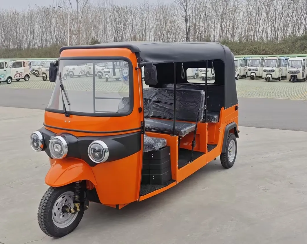 Electric Tricycle for Passenger and Cargo Transport - detail 2