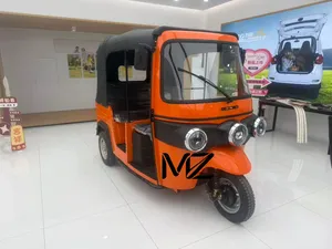 Electric Tricycle for Passenger and Cargo Transport - detail 11