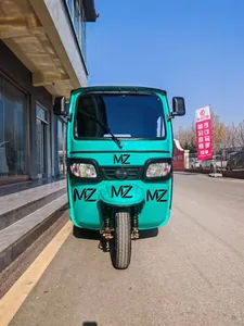 Electric Tricycle for Passenger and Cargo Transport - detail 12