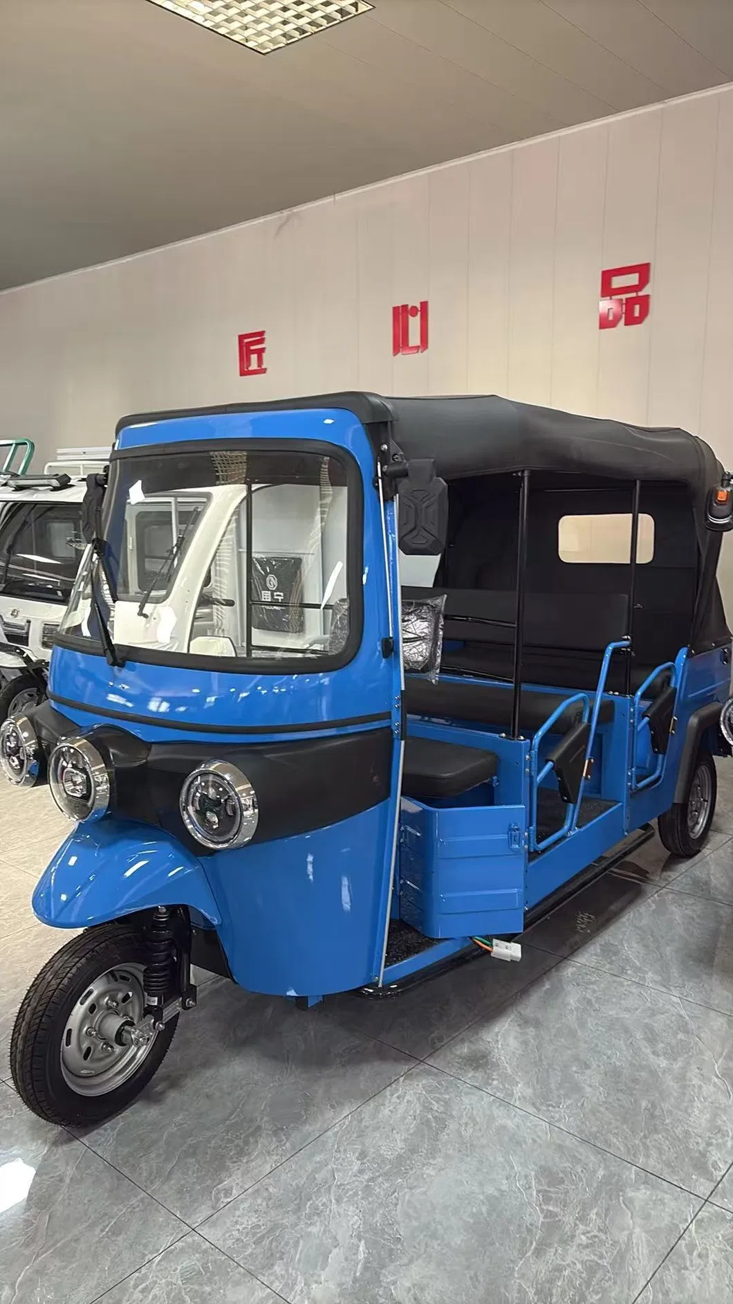 Electric Tricycle for Passenger and Cargo Transport - detail 6