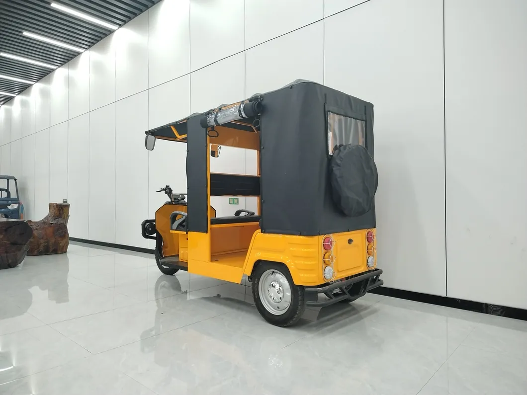 Electric Tricycle for Passenger and Cargo Transport - detail 9