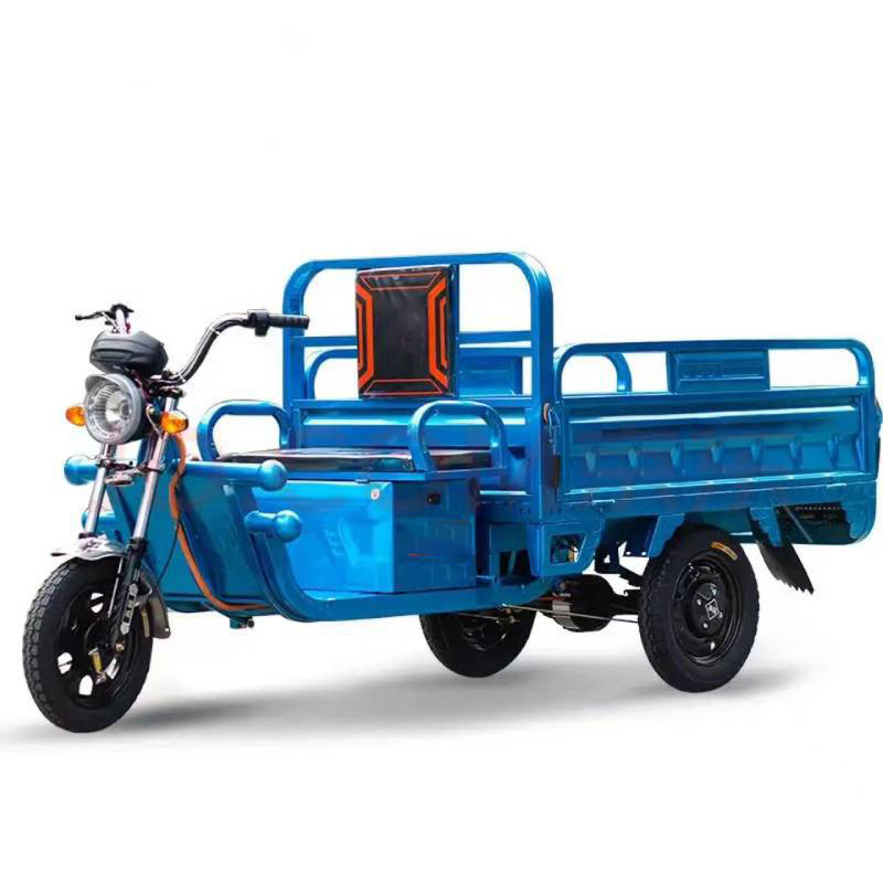 Electric Petrol Engine Bike Tricycles 3 Wheel 800cc Bicycle Maroc Algerie Vehicule Rear Box Cargo Tricycle - Image 3