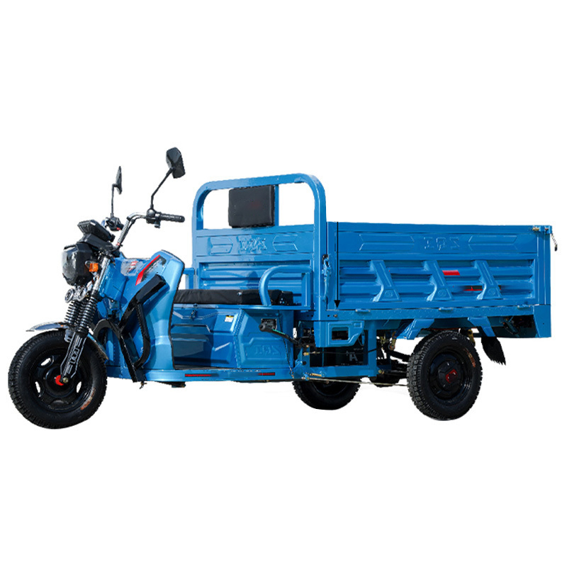Electric Petrol Engine Bike Tricycles 3 Wheel 800cc Bicycle Maroc Algerie Vehicule Rear Box Cargo Tricycle - Image 6