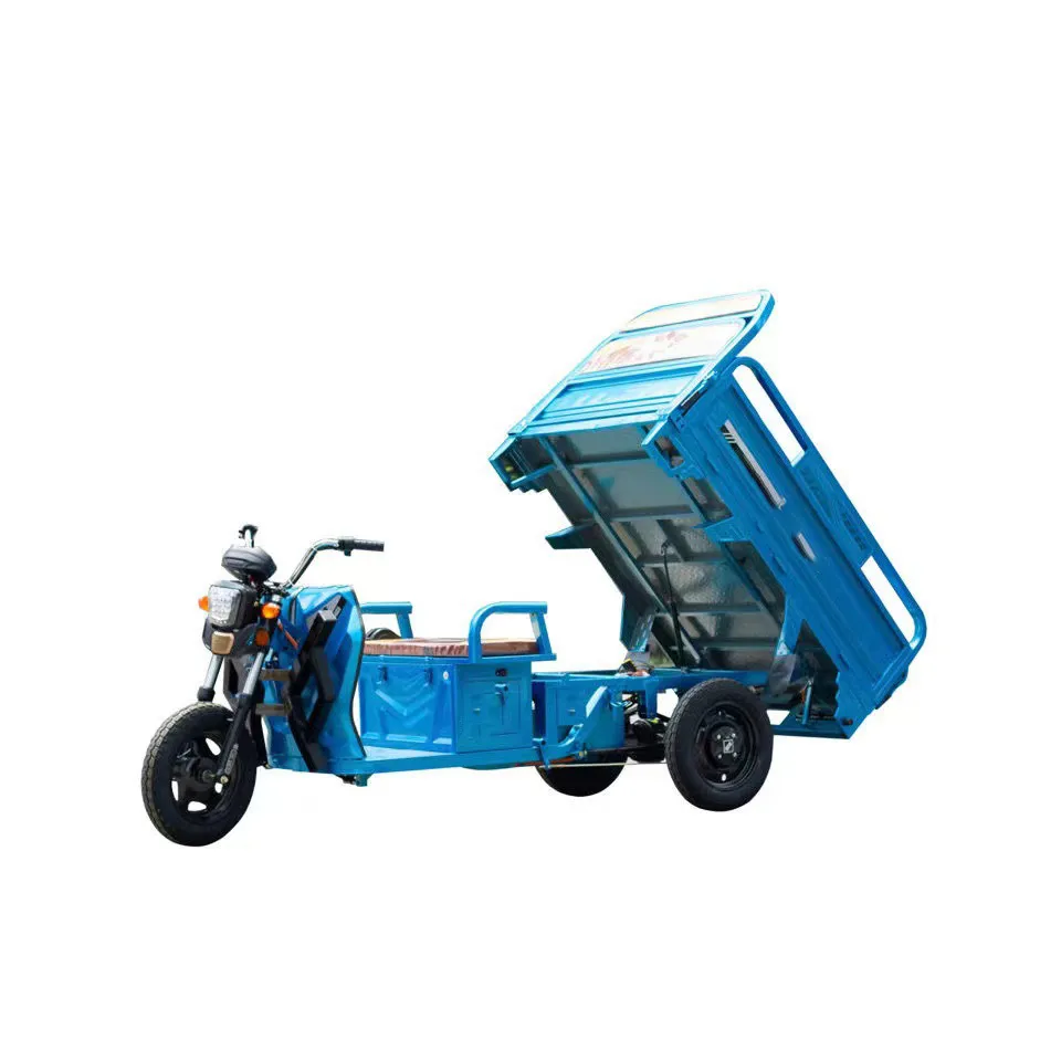 Electric Petrol Engine Bike Tricycles 3 Wheel 800cc Bicycle Maroc Algerie Vehicule Rear Box Cargo Tricycle - detail 12