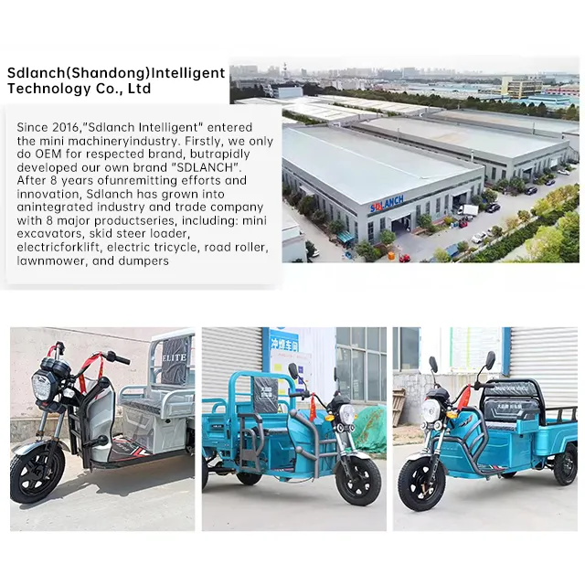 New Model Heavy Load Quality Parts and Components Cargo Tricycle Electric Rickshaw E Loader - detail 12