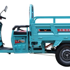 Electric Tricycle ≥25% Climbing Degree 500kg Load for Cargo Delivery