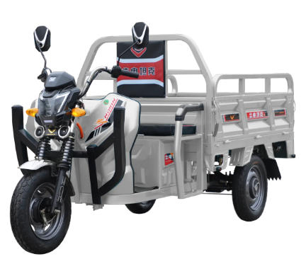 Electric Tricycle ≥25% Climbing Degree 500kg Load for Cargo Delivery - Image 4