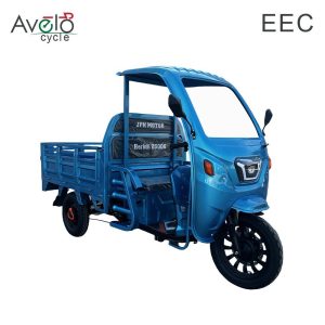 Factory Supply Lead-Acid Battery 72V 1500W 45ah Auto Cargo Passenger Electric Tricycle