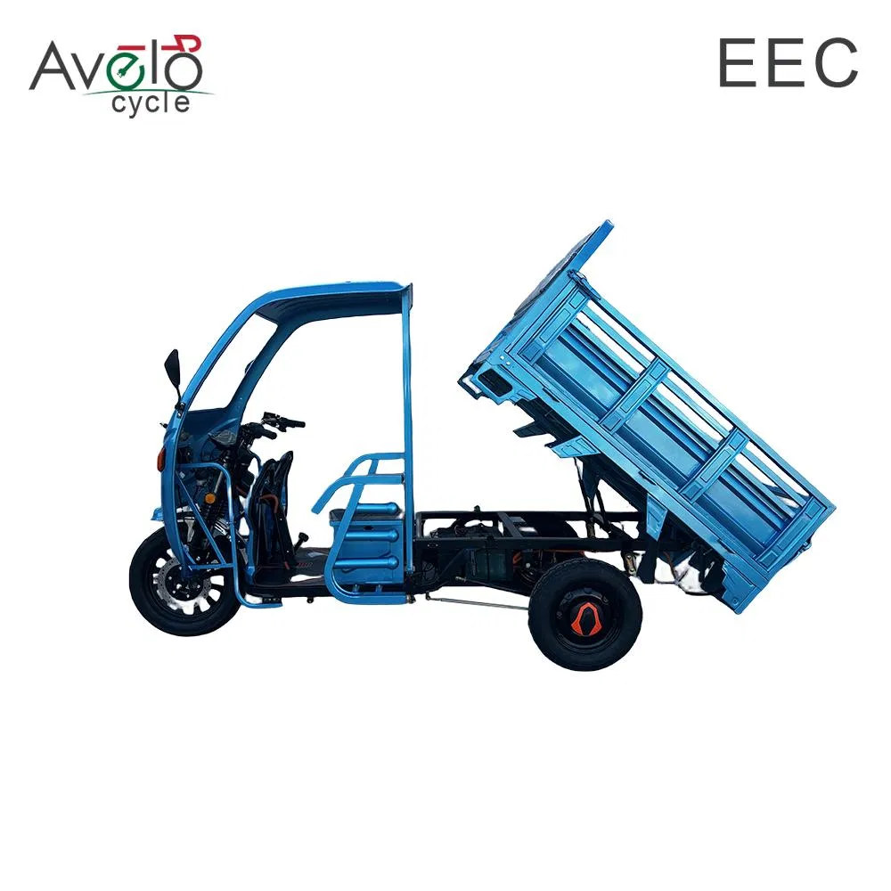 Factory Supply Lead-Acid Battery 72V 1500W 45ah Auto Cargo Passenger Electric Tricycle - detail 1