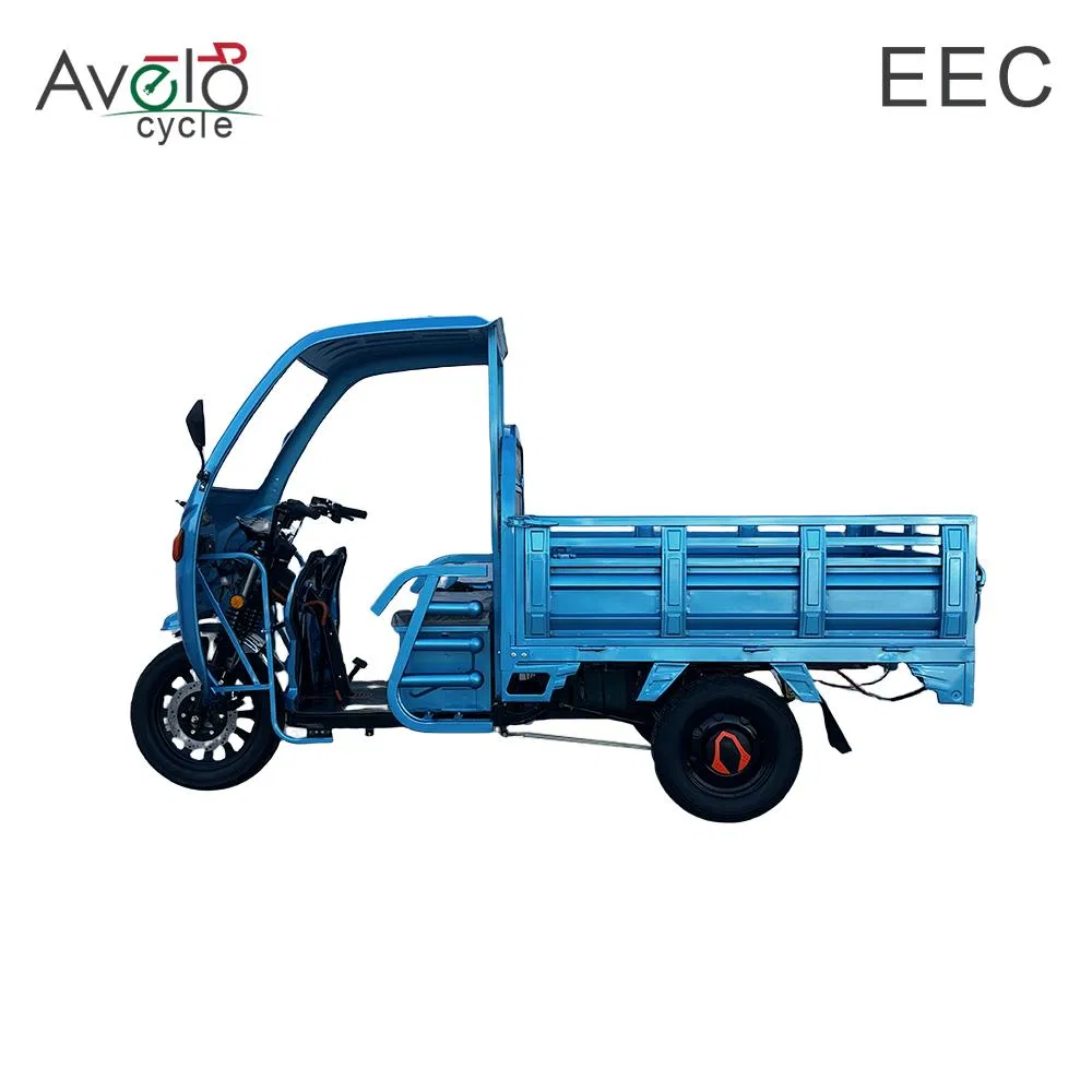 Factory Supply Lead-Acid Battery 72V 1500W 45ah Auto Cargo Passenger Electric Tricycle - detail 2