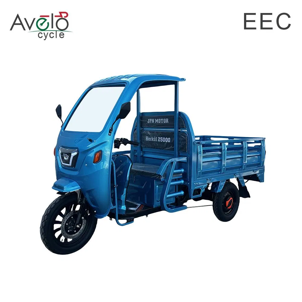 Factory Supply Lead-Acid Battery 72V 1500W 45ah Auto Cargo Passenger Electric Tricycle - detail 3