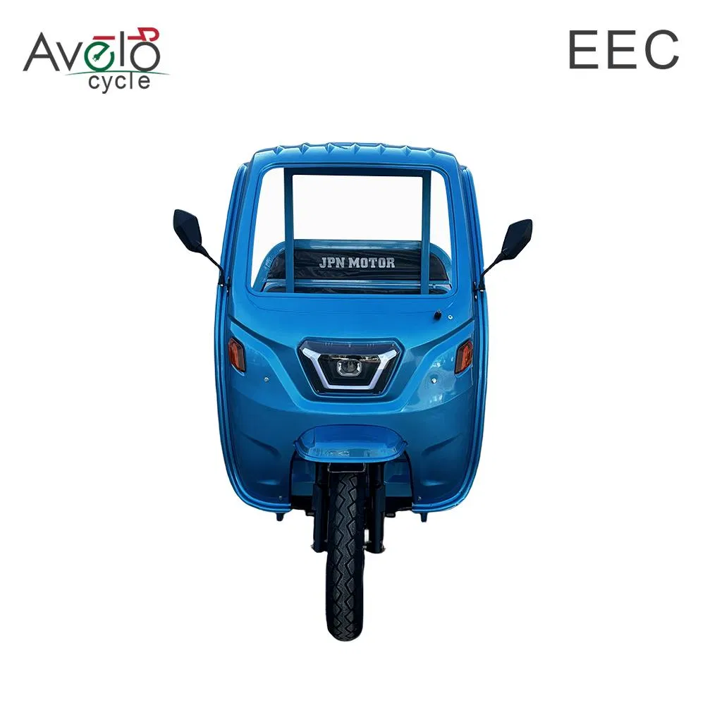 Factory Supply Lead-Acid Battery 72V 1500W 45ah Auto Cargo Passenger Electric Tricycle - detail 4