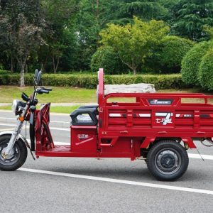 Wholesale Hot Selling Cargo Adult Electric Tricycle in China