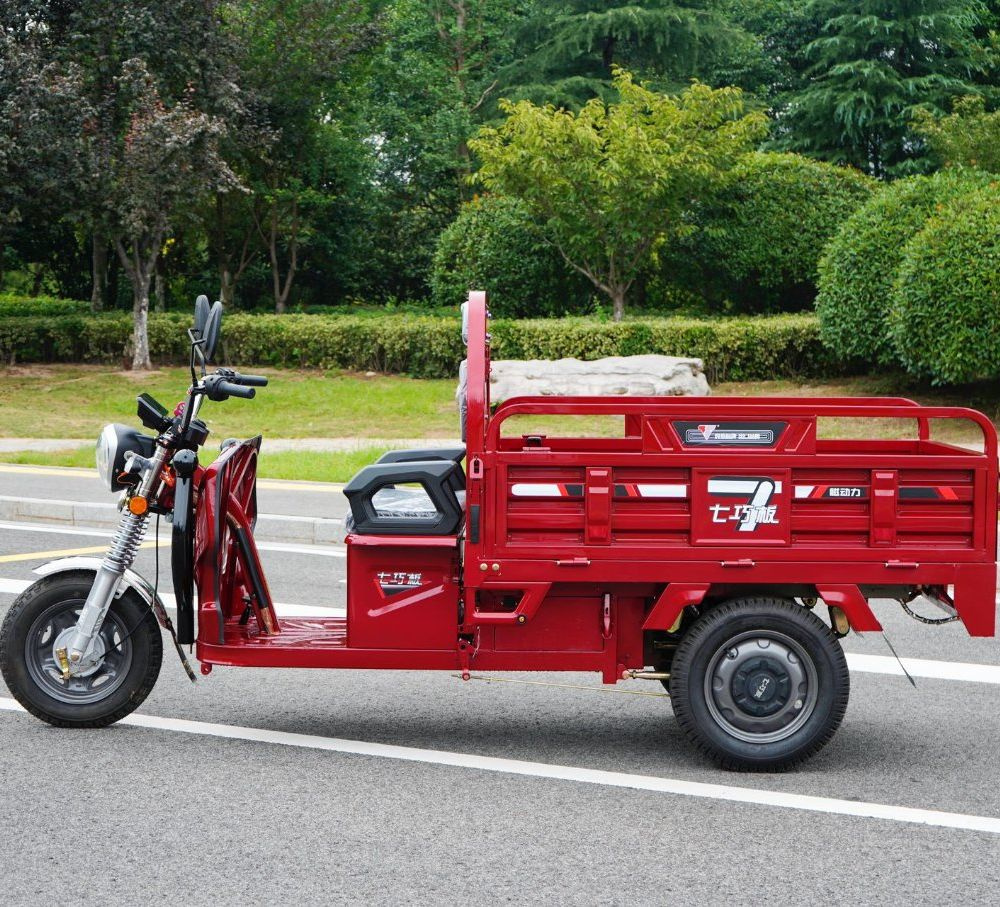 Wholesale Hot Selling Cargo Adult Electric Tricycle in China