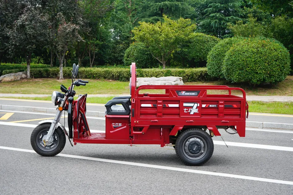 Wholesale Hot Selling Cargo Adult Electric Tricycle in China - detail 1