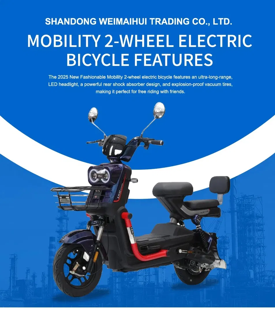 Wholesale Hot Selling Cargo Adult Electric Tricycle in China - detail 8