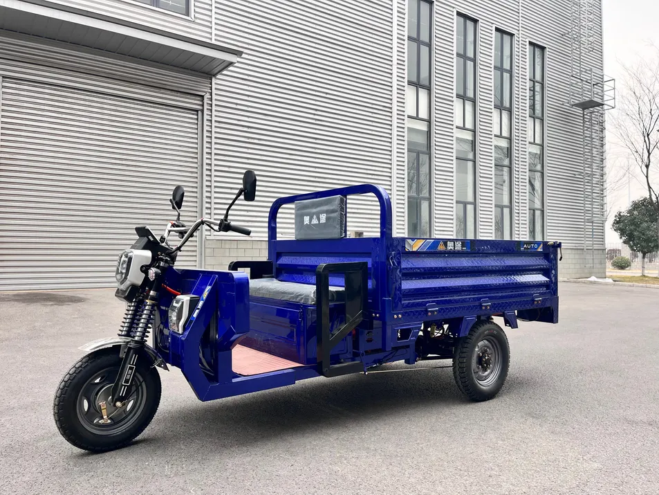 All Weather Open Frame Cargo Electric Tricycle - detail 2