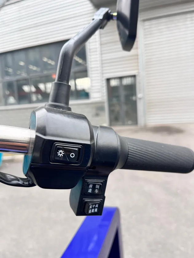 All Weather Open Frame Cargo Electric Tricycle - detail 12