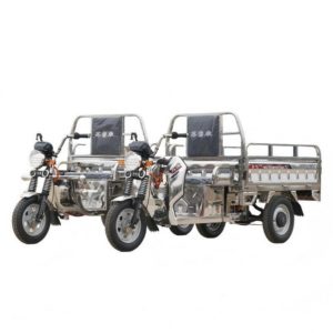 Multi Purpose Compact Cost Effective Stainless Steel Electric Three Wheel Cargo Tricycle Vehicle for Express Delivery