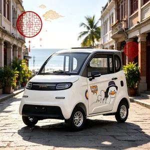 Multi Purpose Compact Cost Effective Stainless Steel Electric Three Wheel Cargo Tricycle Vehicle for Express Delivery - detail 14
