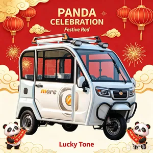 Multi Purpose Compact Cost Effective Stainless Steel Electric Three Wheel Cargo Tricycle Vehicle for Express Delivery - detail 15