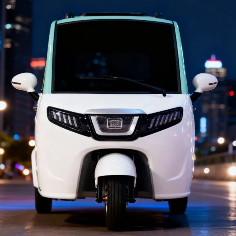 Efficient Electric Cargo Tricycle for Urban Delivery Services - detail 2