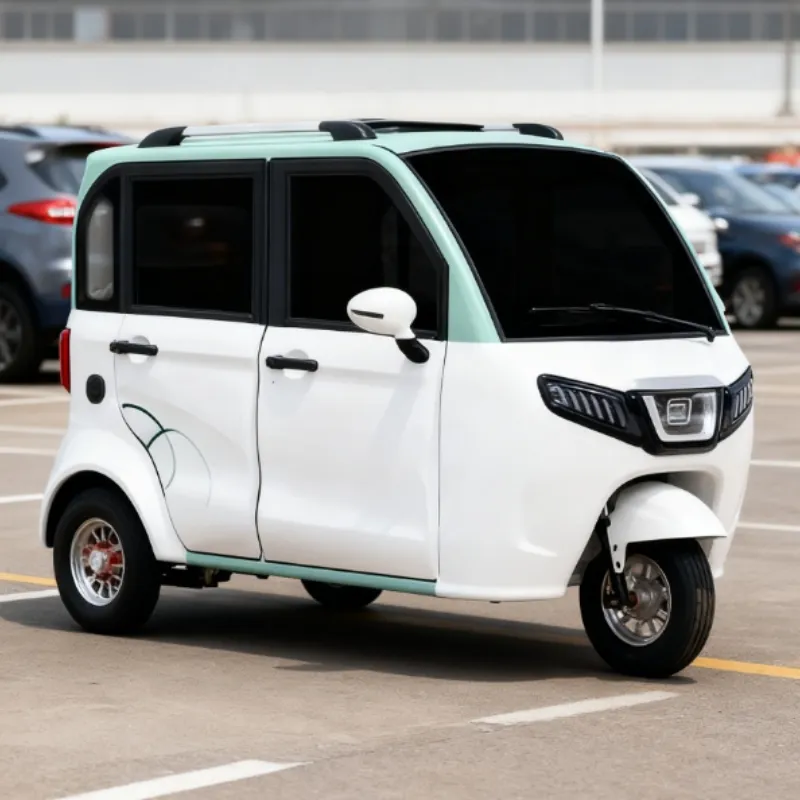 Efficient Electric Cargo Tricycle for Urban Delivery Services - detail 3