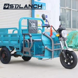 Mini New 3 Wheel Motorcycle Cargo Adult Manufacturer Popular Model Electric 800W Motor Cargo Tricycle for Sale