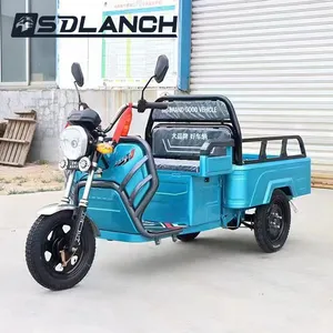 Mini New 3 Wheel Motorcycle Cargo Adult Manufacturer Popular Model Electric 800W Motor Cargo Tricycle for Sale - detail 17