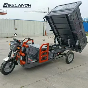 Mini New 3 Wheel Motorcycle Cargo Adult Manufacturer Popular Model Electric 800W Motor Cargo Tricycle for Sale - detail 18