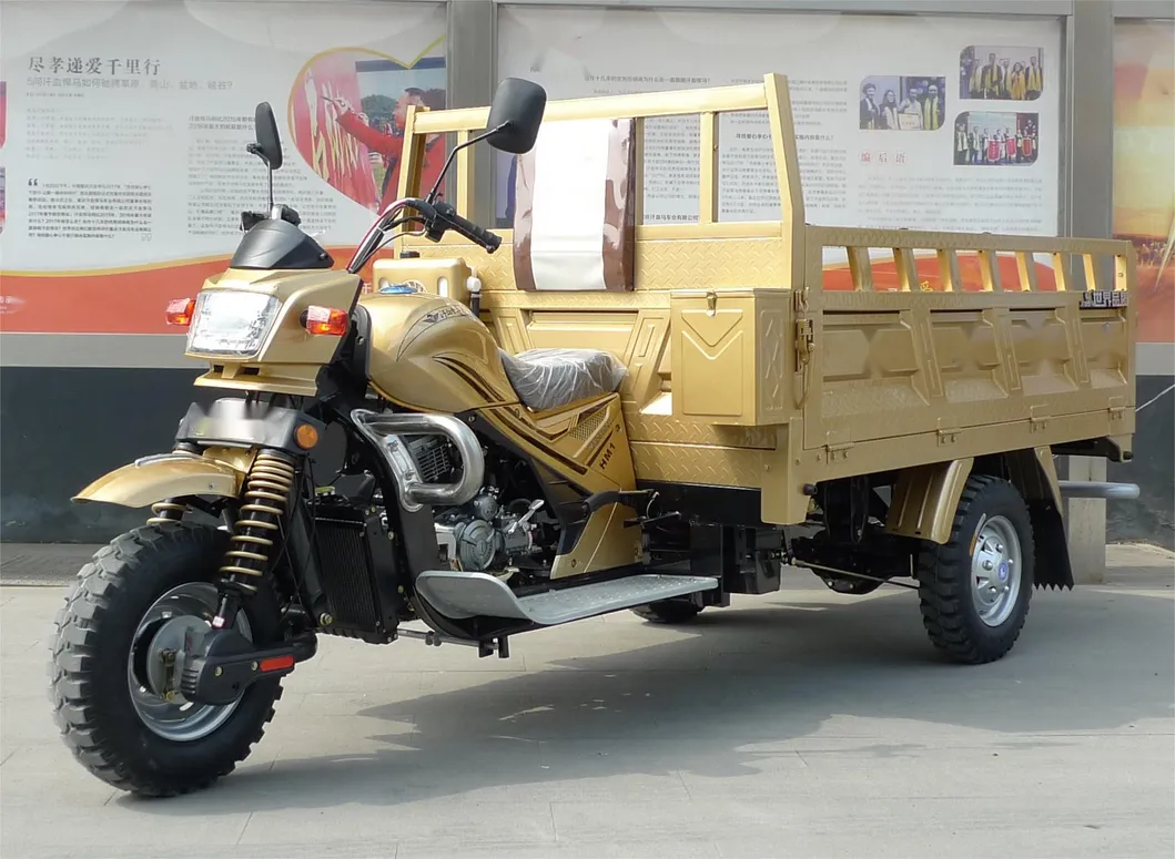 New 3 Wheel,Three Closed,Gasoline,Spare Parts,Adults,Cargo,Delivery,Petrol,Passenger,Motor,Trike,Scooter,Motorized,Electric Motorcycle Tricycle for Sale - detail 2