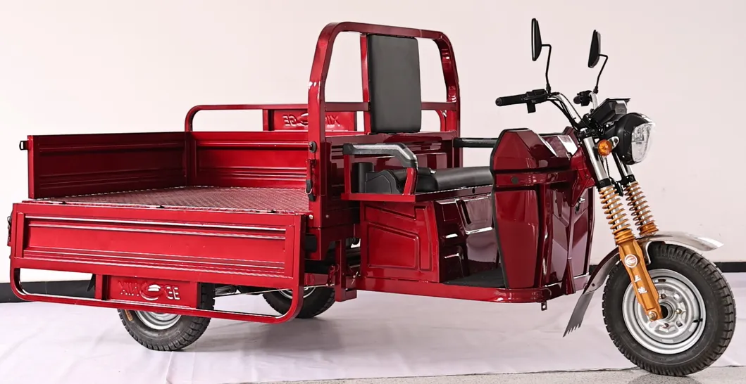 Sandi New Green Energy Three Wheels Electric Tricycle for Cargo - detail 1