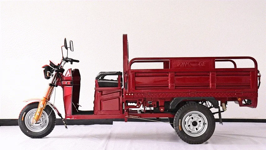 Sandi New Green Energy Three Wheels Electric Tricycle for Cargo - detail 2
