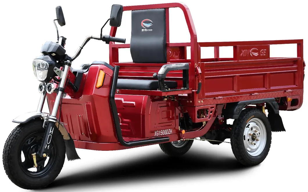 Sandi New Green Energy Three Wheels Electric Tricycle for Cargo - detail 3