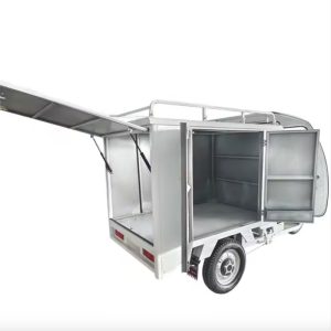 Multipurpose 800W-1500W Motor Wholesale New Design EEC Coc Approved Three Wheel Electric Tricycle Trike Cabin with Enclosed Cargo Box for Delivery