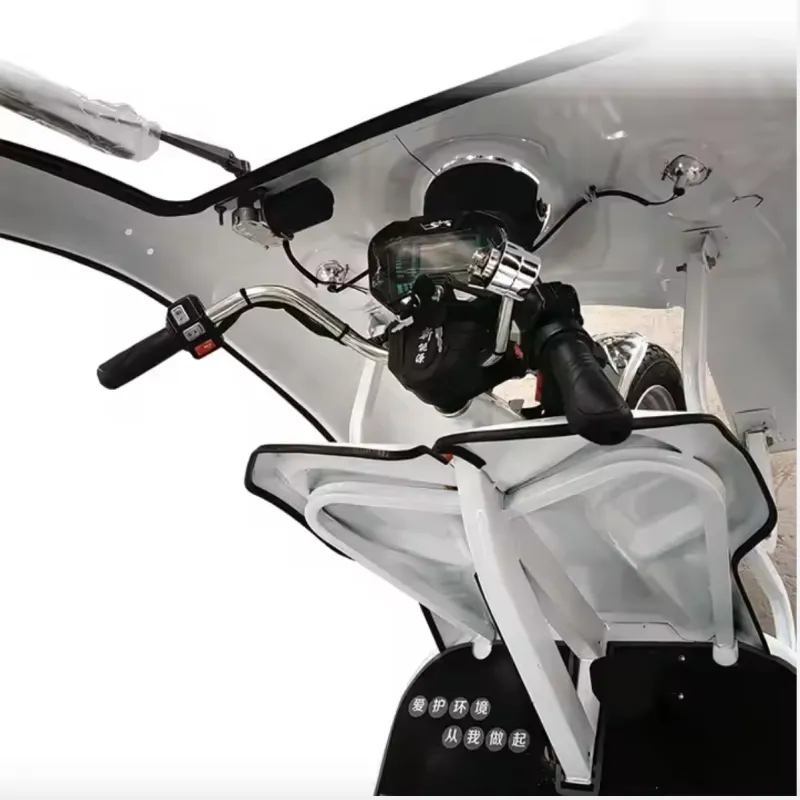 Multipurpose 800W-1500W Motor Wholesale New Design EEC Coc Approved Three Wheel Electric Tricycle Trike Cabin with Enclosed Cargo Box for Delivery - detail 18